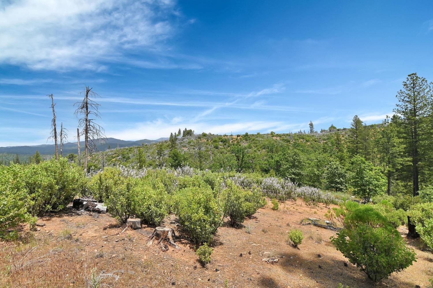 0 Fricot City Rd, Sheep Ranch, California 95246, ,Land,For Sale,Fricot City Rd,202300687