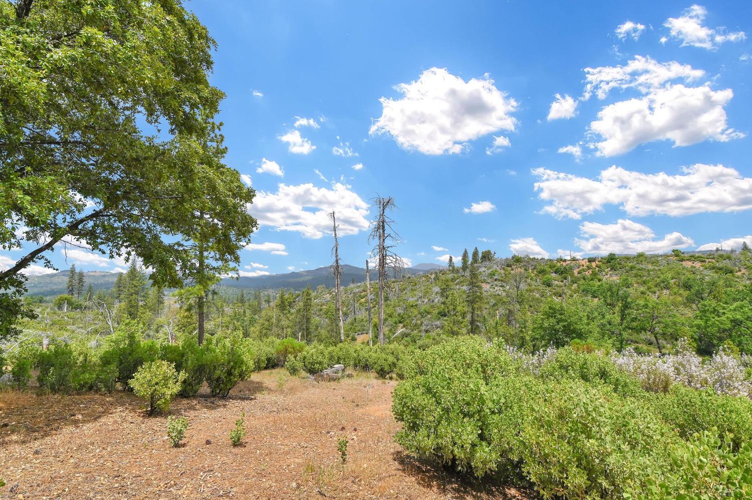 0 Fricot City Rd, Sheep Ranch, California 95246, ,Land,For Sale,Fricot City Rd,202300687