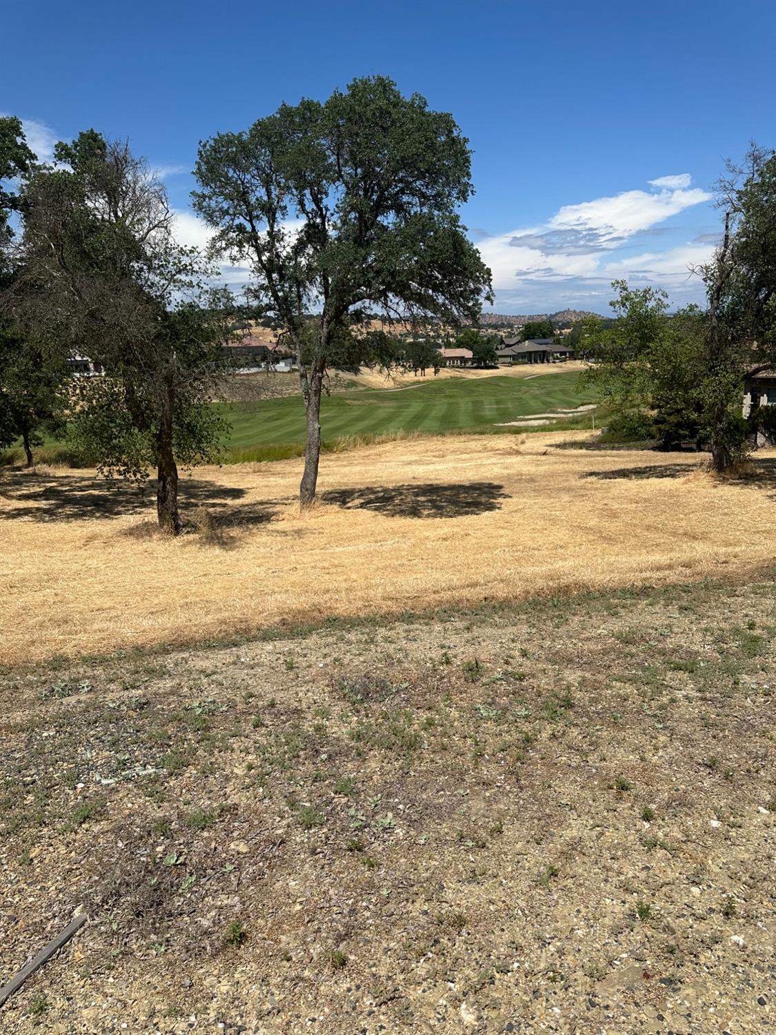 1213 Knolls Drive, Copperopolis, California 95228, ,Land,For Sale,Knolls,202300700