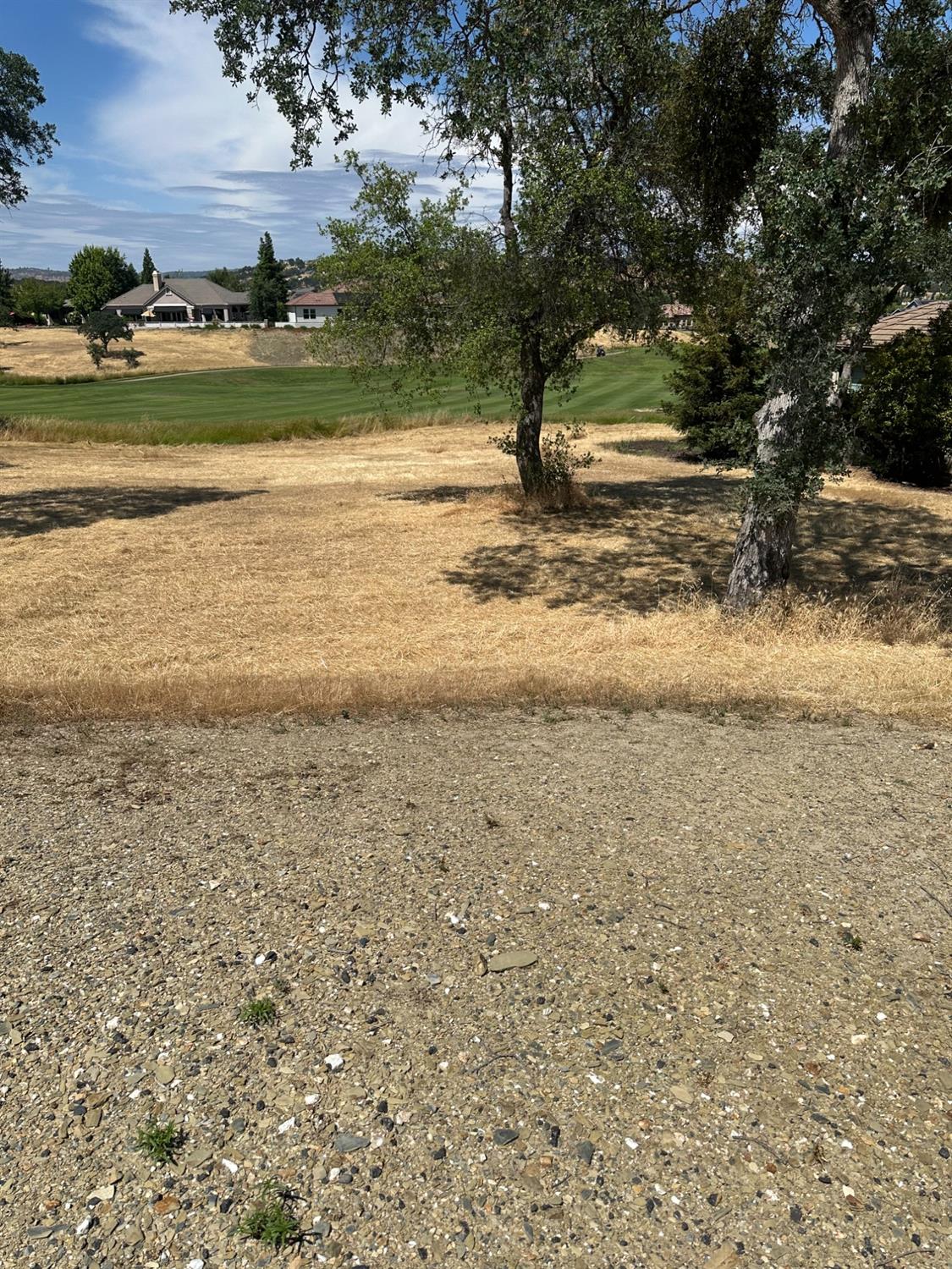 1213 Knolls Drive, Copperopolis, California 95228, ,Land,For Sale,Knolls,202300700