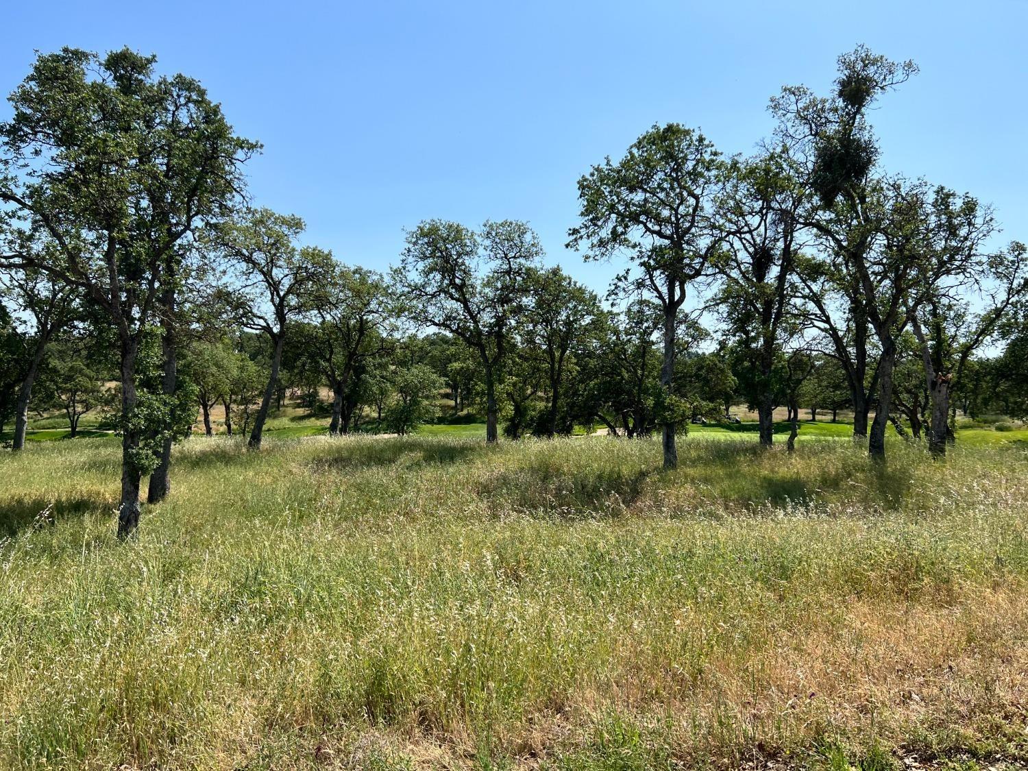 401 Knolls Drive, Copperopolis, California 95228, ,Land,For Sale,Knolls,202300755