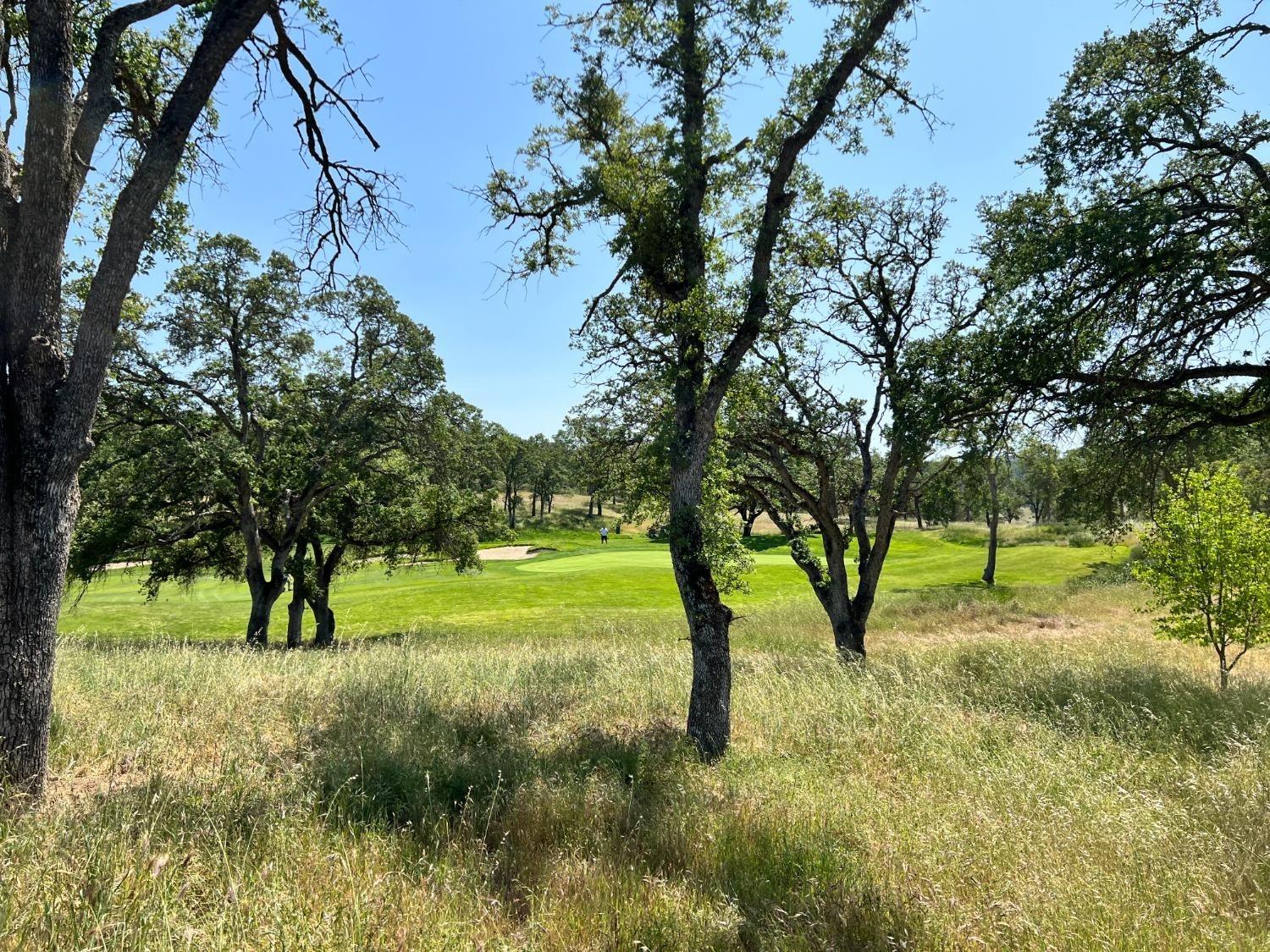 401 Knolls Drive, Copperopolis, California 95228, ,Land,For Sale,Knolls,202300755