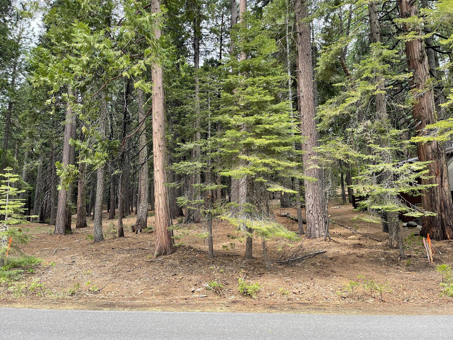 6 Shoshone Drive, Camp Connell, California 95223, ,Land,For Sale,Shoshone,202300765