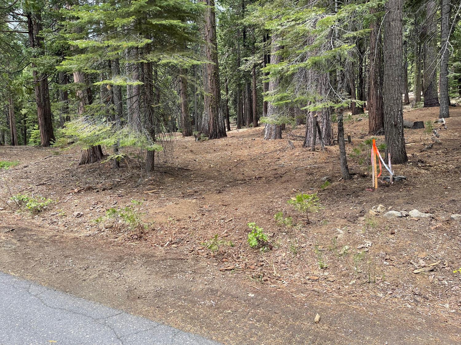 6 Shoshone Drive, Camp Connell, California 95223, ,Land,For Sale,Shoshone,202300765