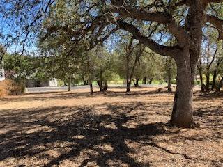 242 Smith Flat Road, Angels Camp, California 95222, ,Land,For Sale,Smith Flat,202300782