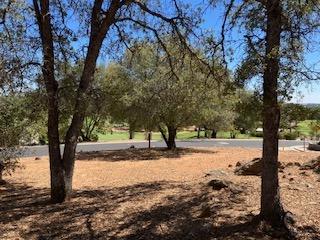 242 Smith Flat Road, Angels Camp, California 95222, ,Land,For Sale,Smith Flat,202300782