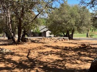 242 Smith Flat Road, Angels Camp, California 95222, ,Land,For Sale,Smith Flat,202300782