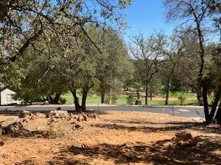 242 Smith Flat Road, Angels Camp, California 95222, ,Land,For Sale,Smith Flat,202300782