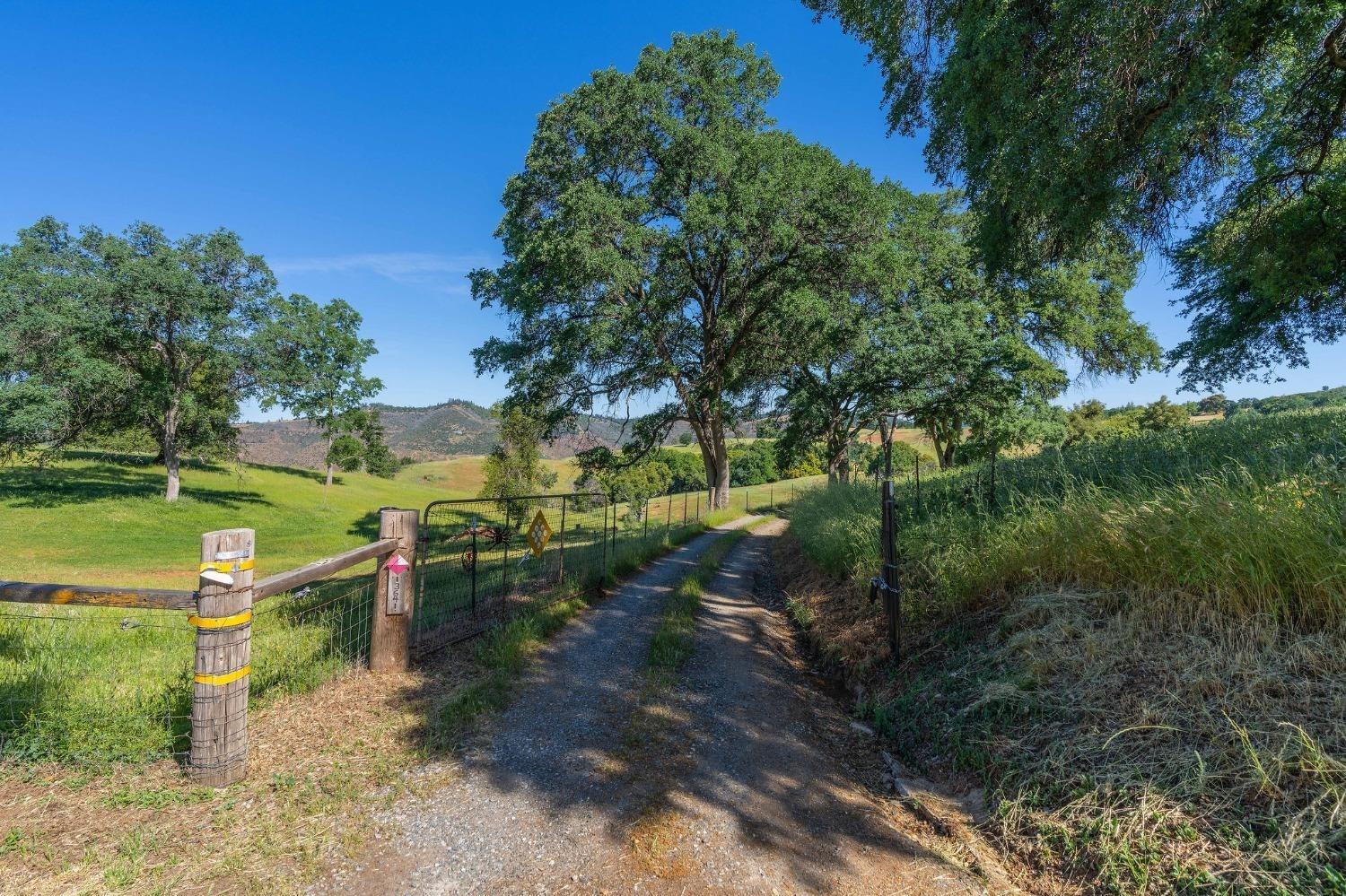 13641 Highway 26, Mokelumne Hill, California 95245, ,Land,For Sale,Highway 26,202300785