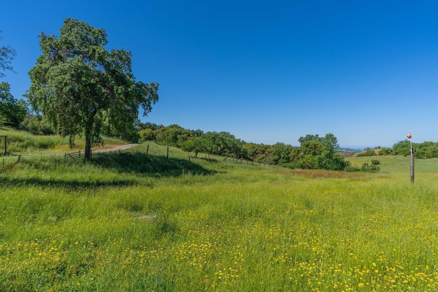 13641 Highway 26, Mokelumne Hill, California 95245, ,Land,For Sale,Highway 26,202300785