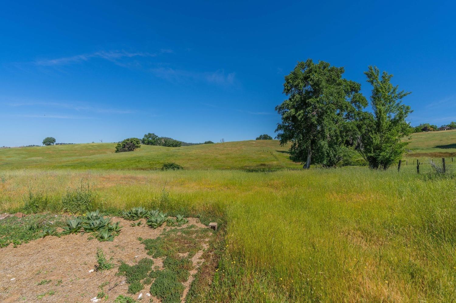 13641 Highway 26, Mokelumne Hill, California 95245, ,Land,For Sale,Highway 26,202300785