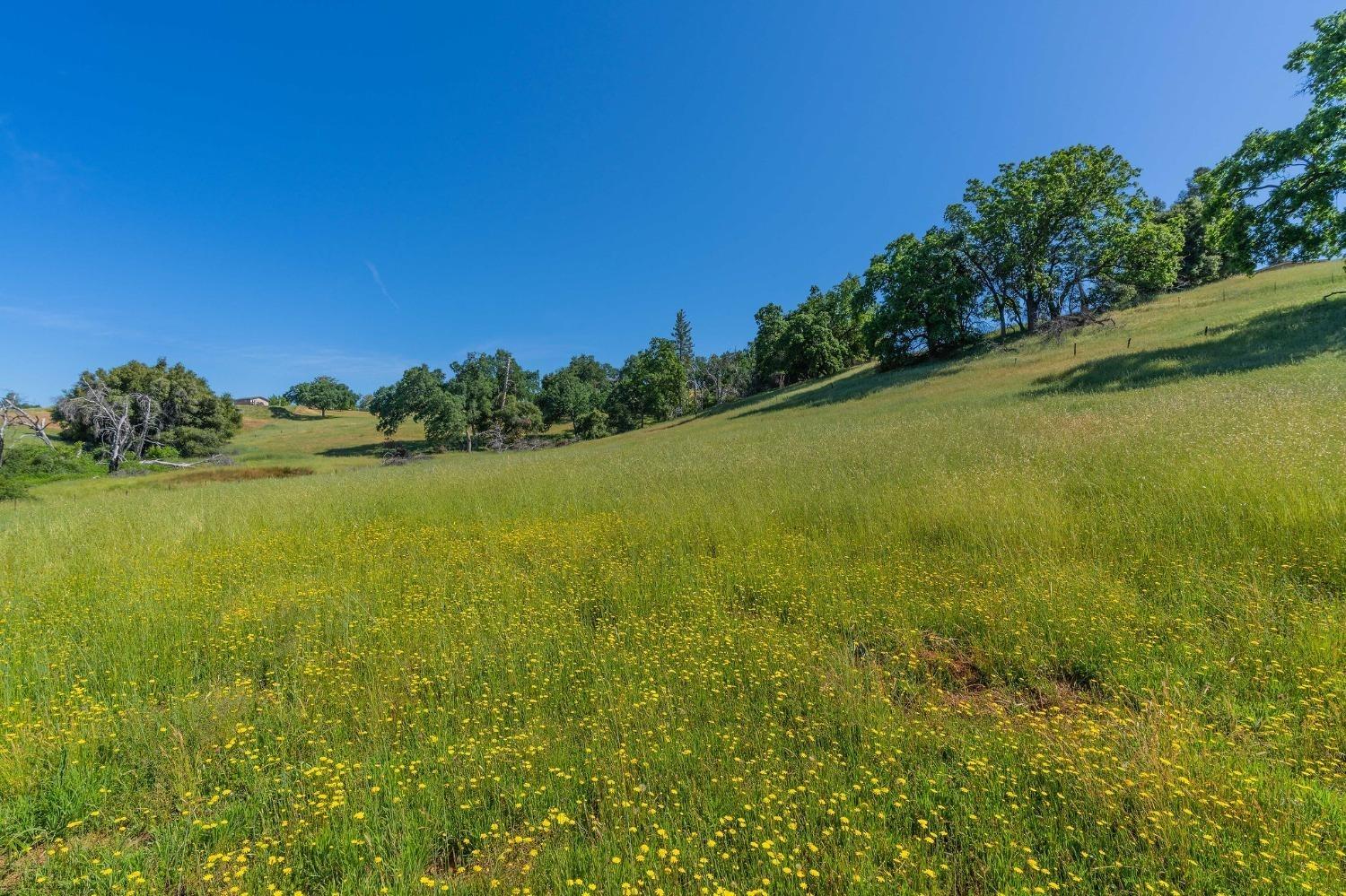 13641 Highway 26, Mokelumne Hill, California 95245, ,Land,For Sale,Highway 26,202300785