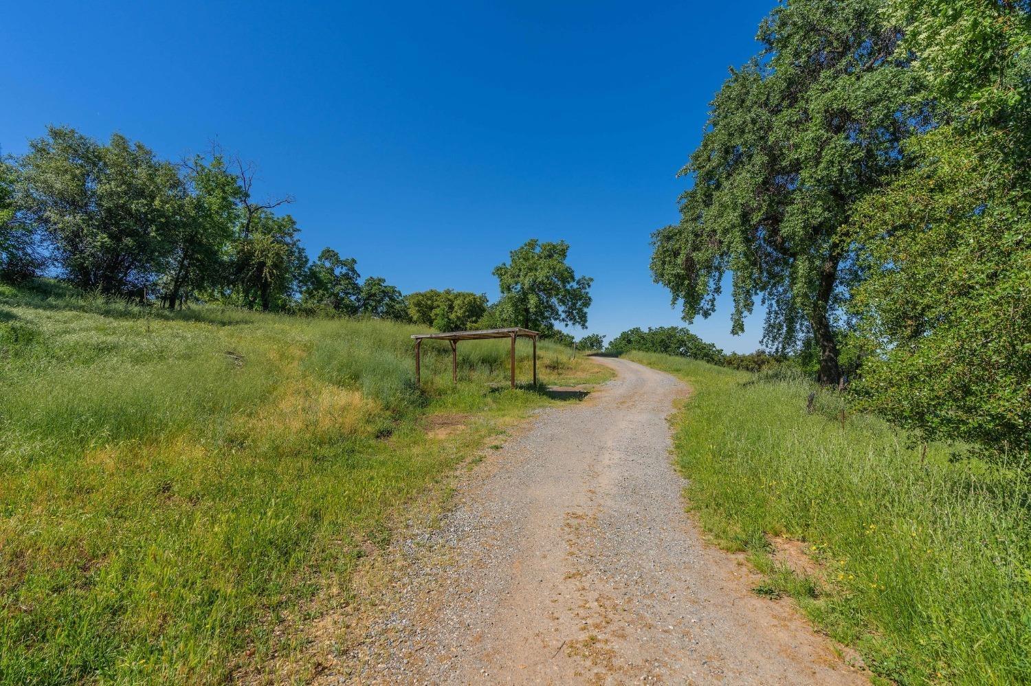 13641 Highway 26, Mokelumne Hill, California 95245, ,Land,For Sale,Highway 26,202300785