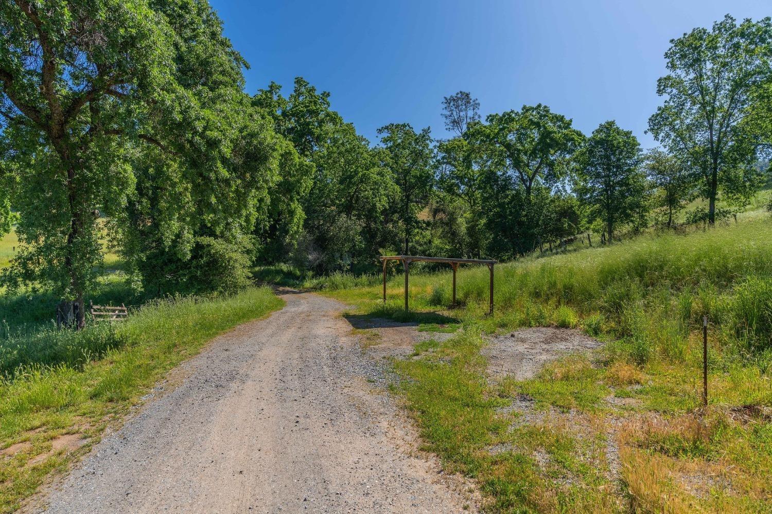 13641 Highway 26, Mokelumne Hill, California 95245, ,Land,For Sale,Highway 26,202300785