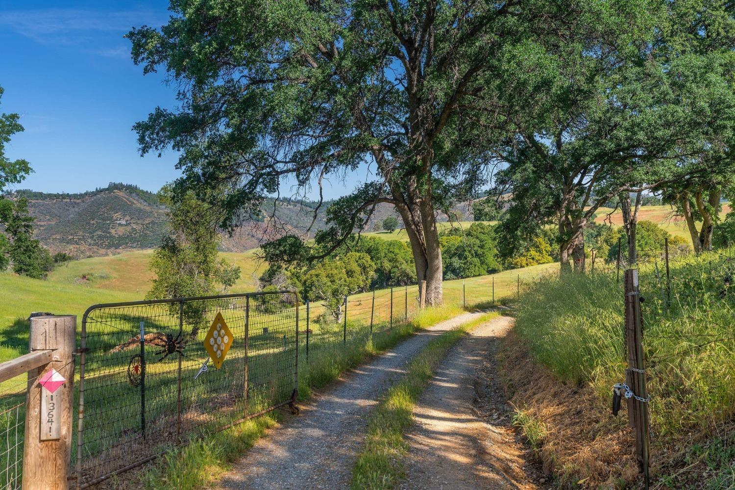 13641 Highway 26, Mokelumne Hill, California 95245, ,Land,For Sale,Highway 26,202300785