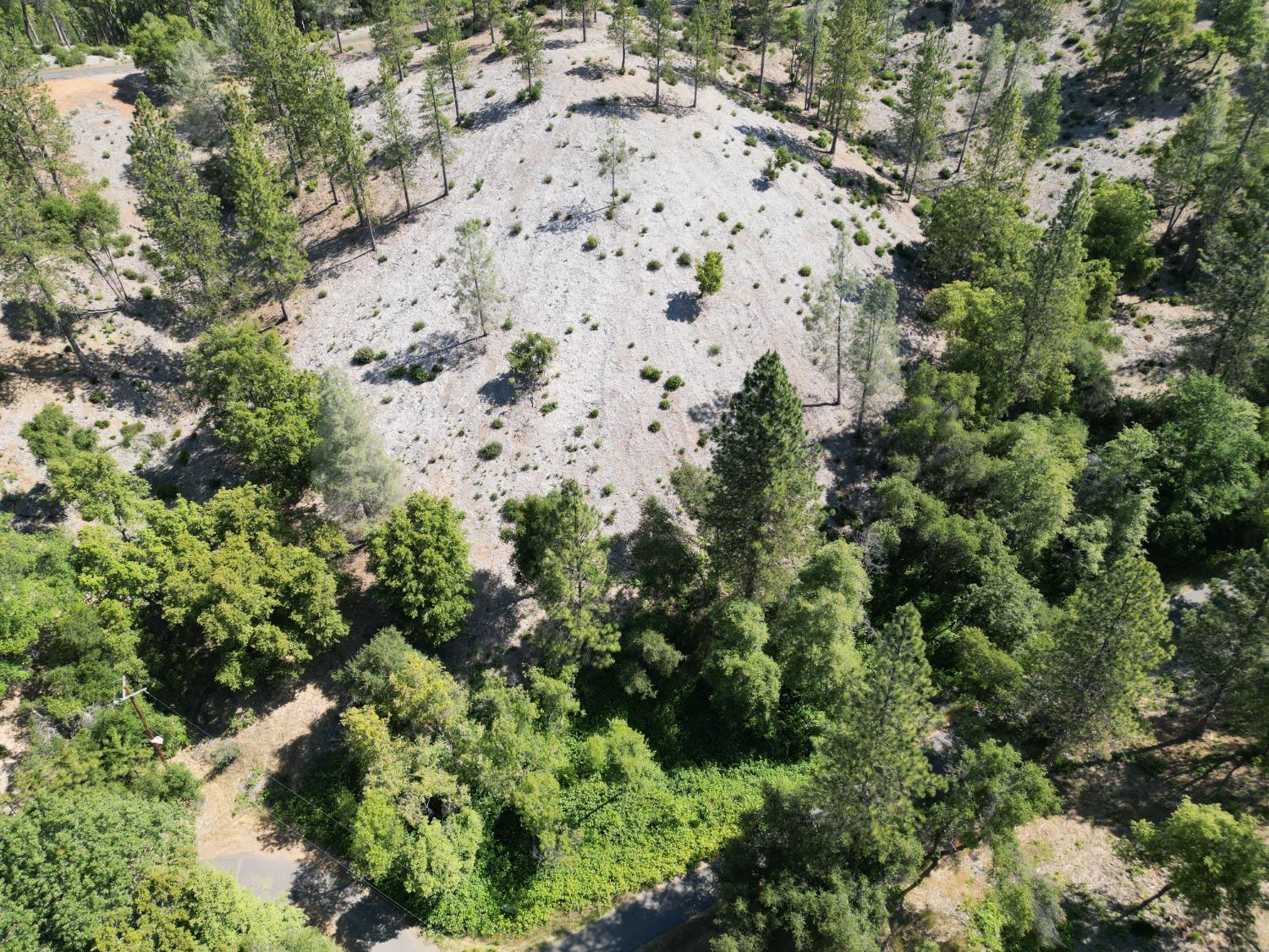 0 Crestview, Murphys, California 95247, ,Land,For Sale,Crestview,202300784