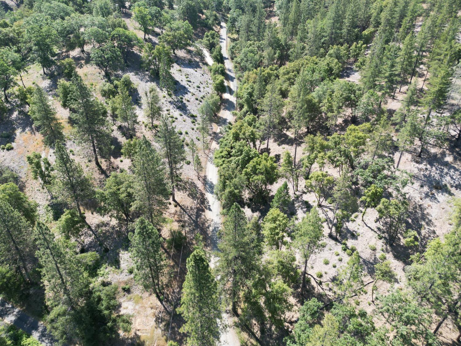 0 Crestview, Murphys, California 95247, ,Land,For Sale,Crestview,202300784