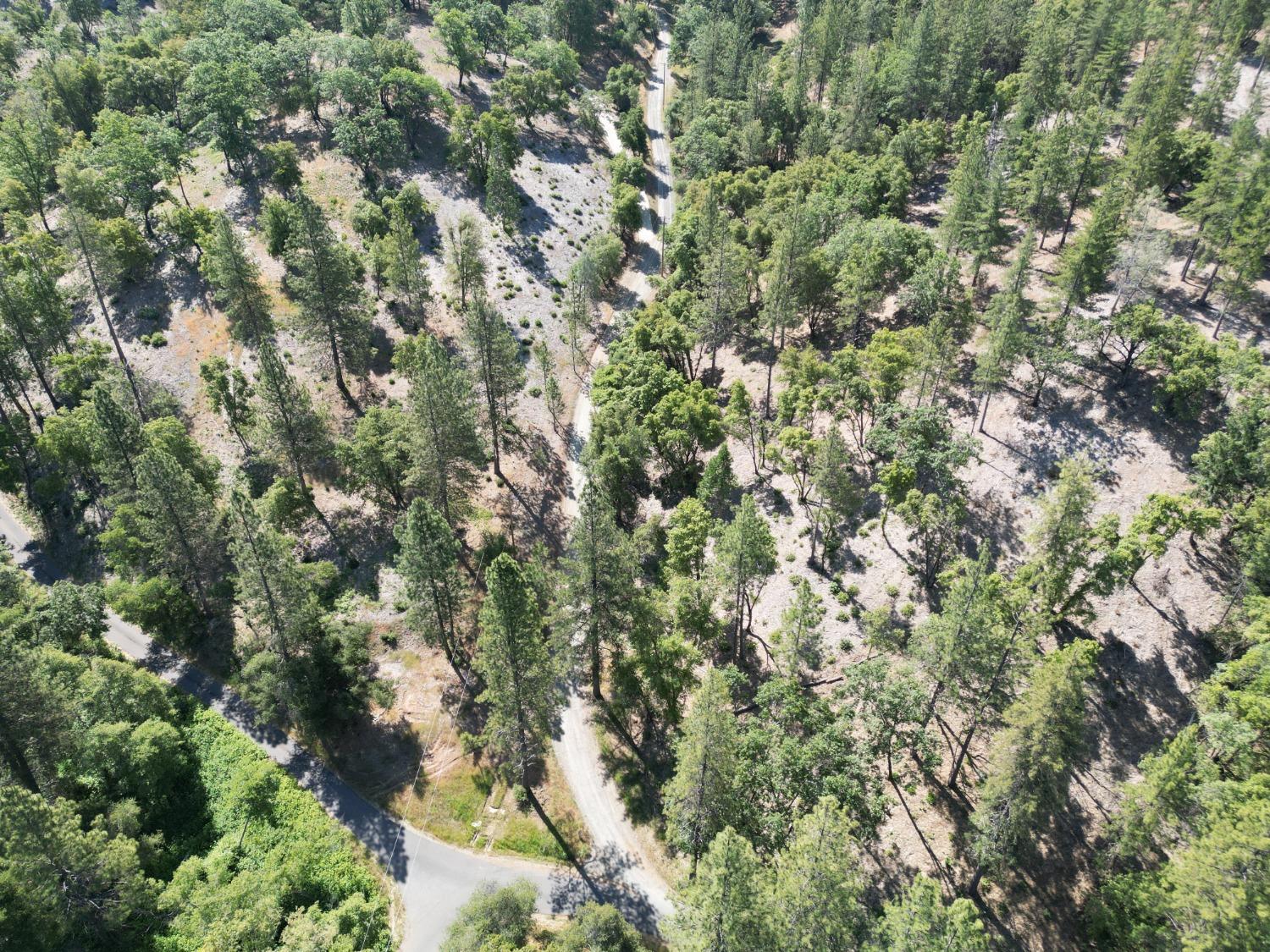 0 Crestview, Murphys, California 95247, ,Land,For Sale,Crestview,202300784