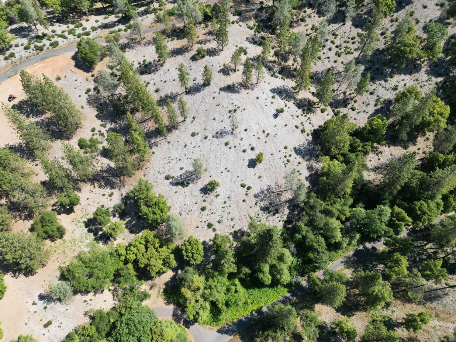 0 Crestview, Murphys, California 95247, ,Land,For Sale,Crestview,202300784