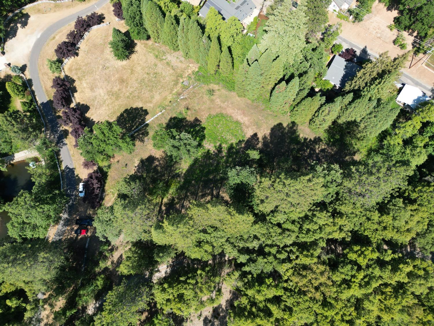 0 Crestview, Murphys, California 95247, ,Land,For Sale,Crestview,202300784