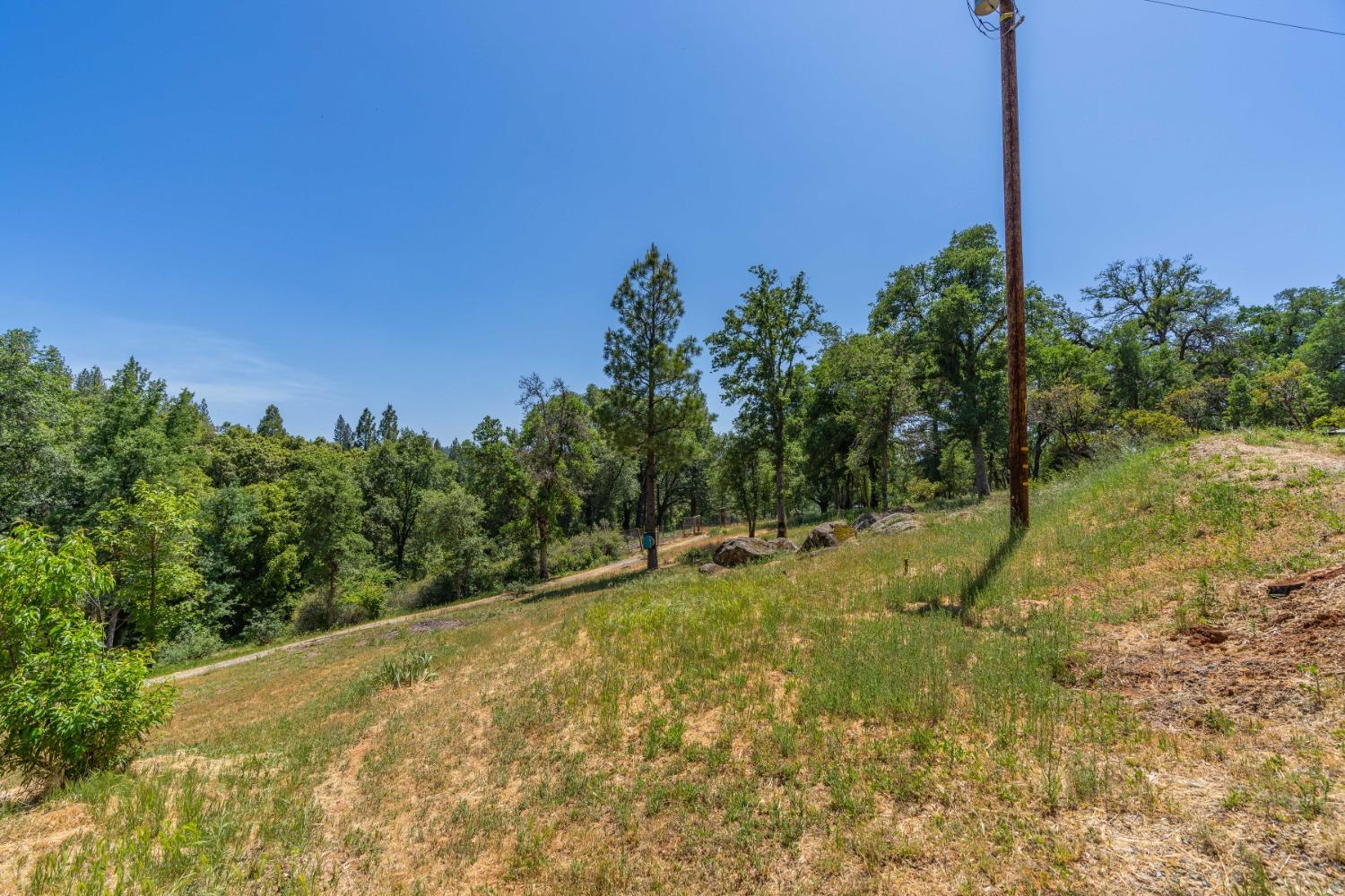 6590 Blue Mountain Road, Wilseyville, California 95257, 3 Bedrooms Bedrooms, ,3 BathroomsBathrooms,Residential,For Sale,Blue Mountain,202300757