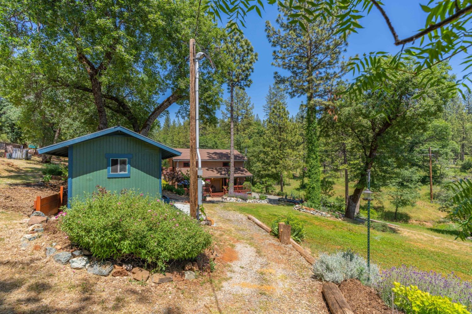 6590 Blue Mountain Road, Wilseyville, California 95257, 3 Bedrooms Bedrooms, ,3 BathroomsBathrooms,Residential,For Sale,Blue Mountain,202300757