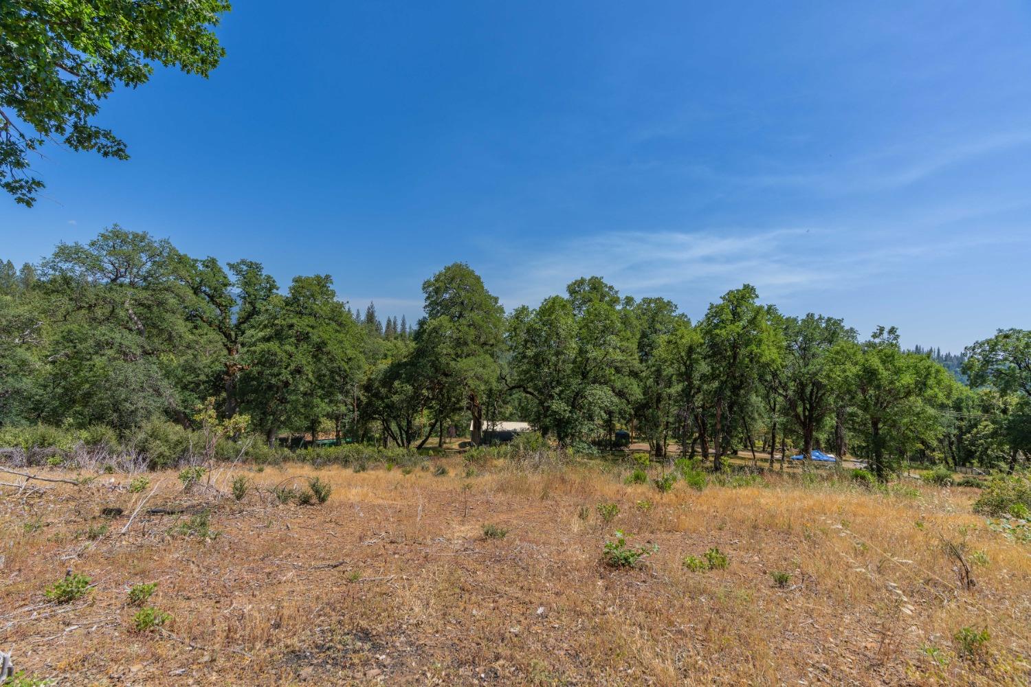 6590 Blue Mountain Road, Wilseyville, California 95257, 3 Bedrooms Bedrooms, ,3 BathroomsBathrooms,Residential,For Sale,Blue Mountain,202300757