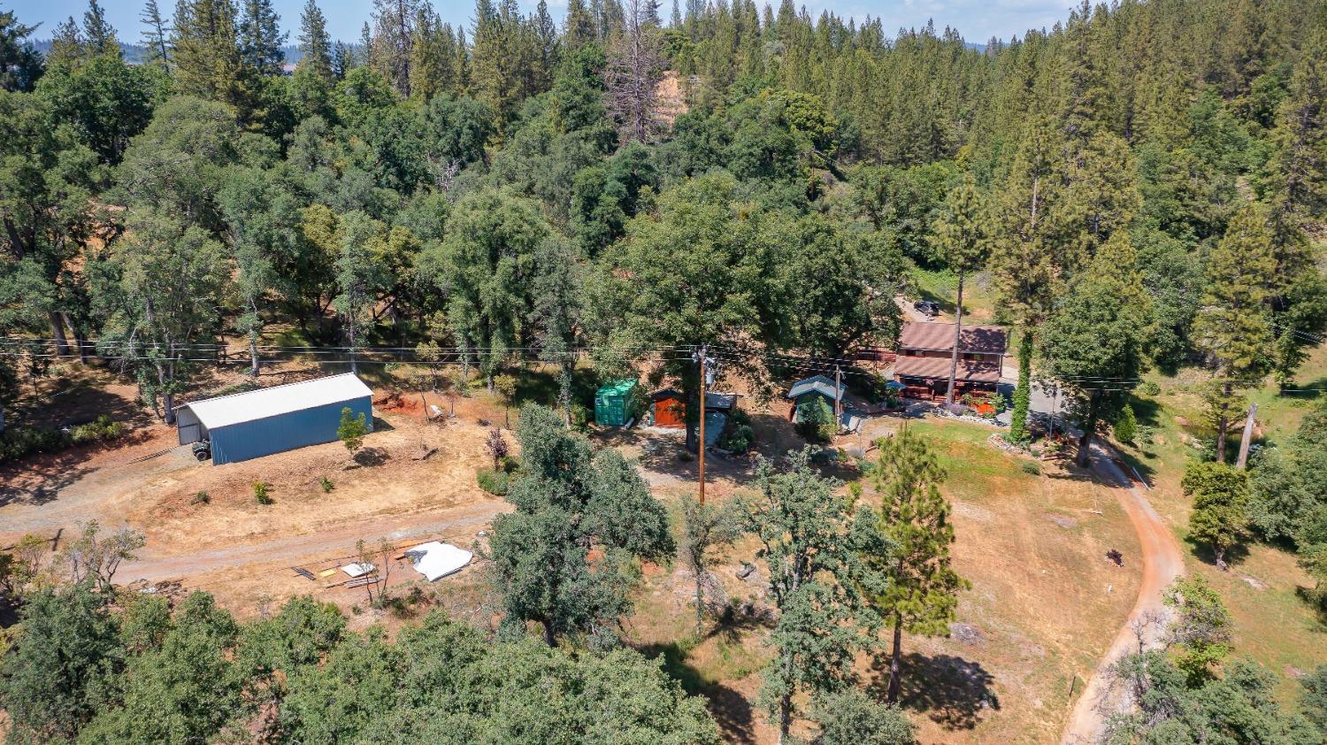 6590 Blue Mountain Road, Wilseyville, California 95257, 3 Bedrooms Bedrooms, ,3 BathroomsBathrooms,Residential,For Sale,Blue Mountain,202300757