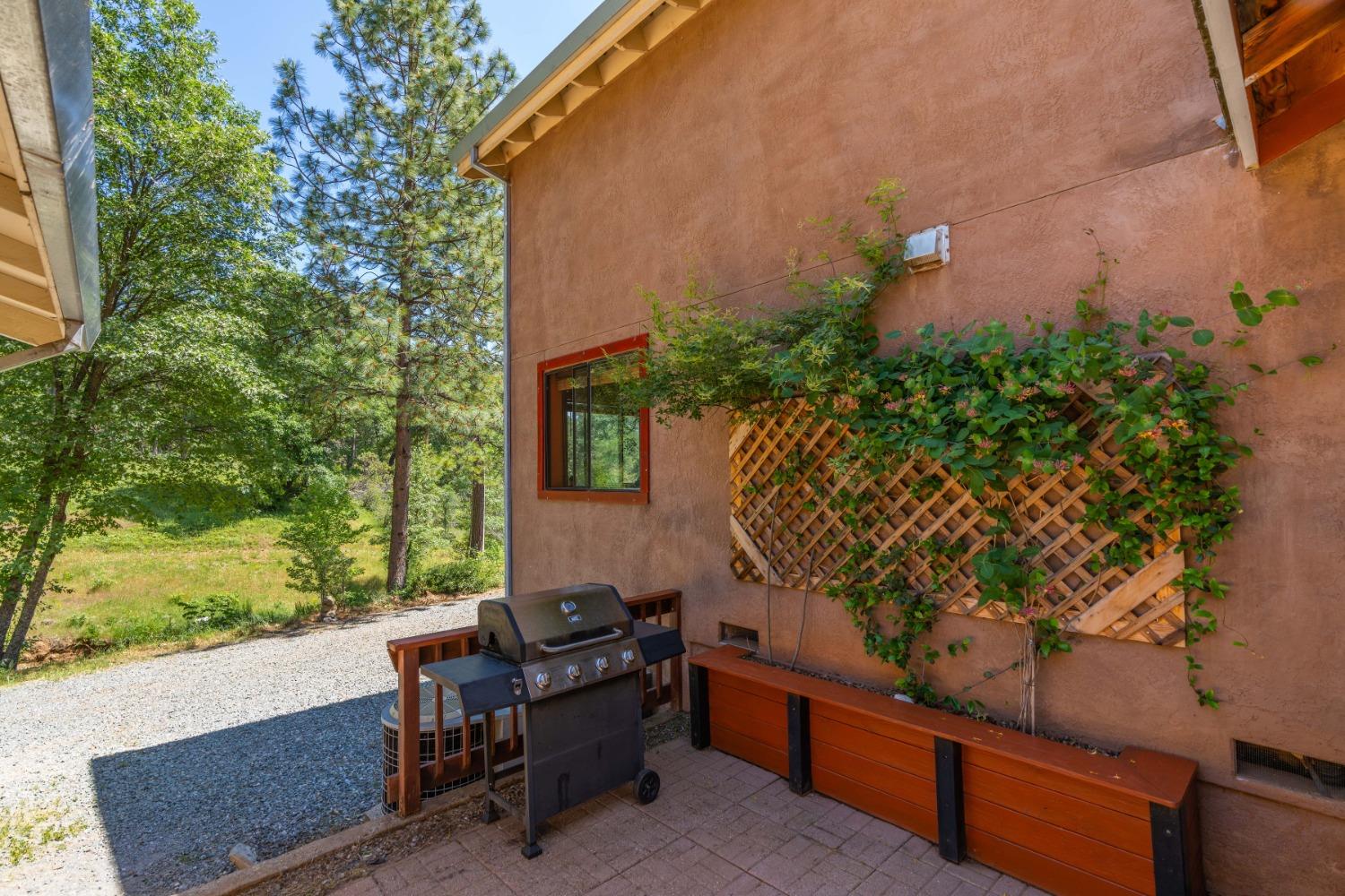 6590 Blue Mountain Road, Wilseyville, California 95257, 3 Bedrooms Bedrooms, ,3 BathroomsBathrooms,Residential,For Sale,Blue Mountain,202300757