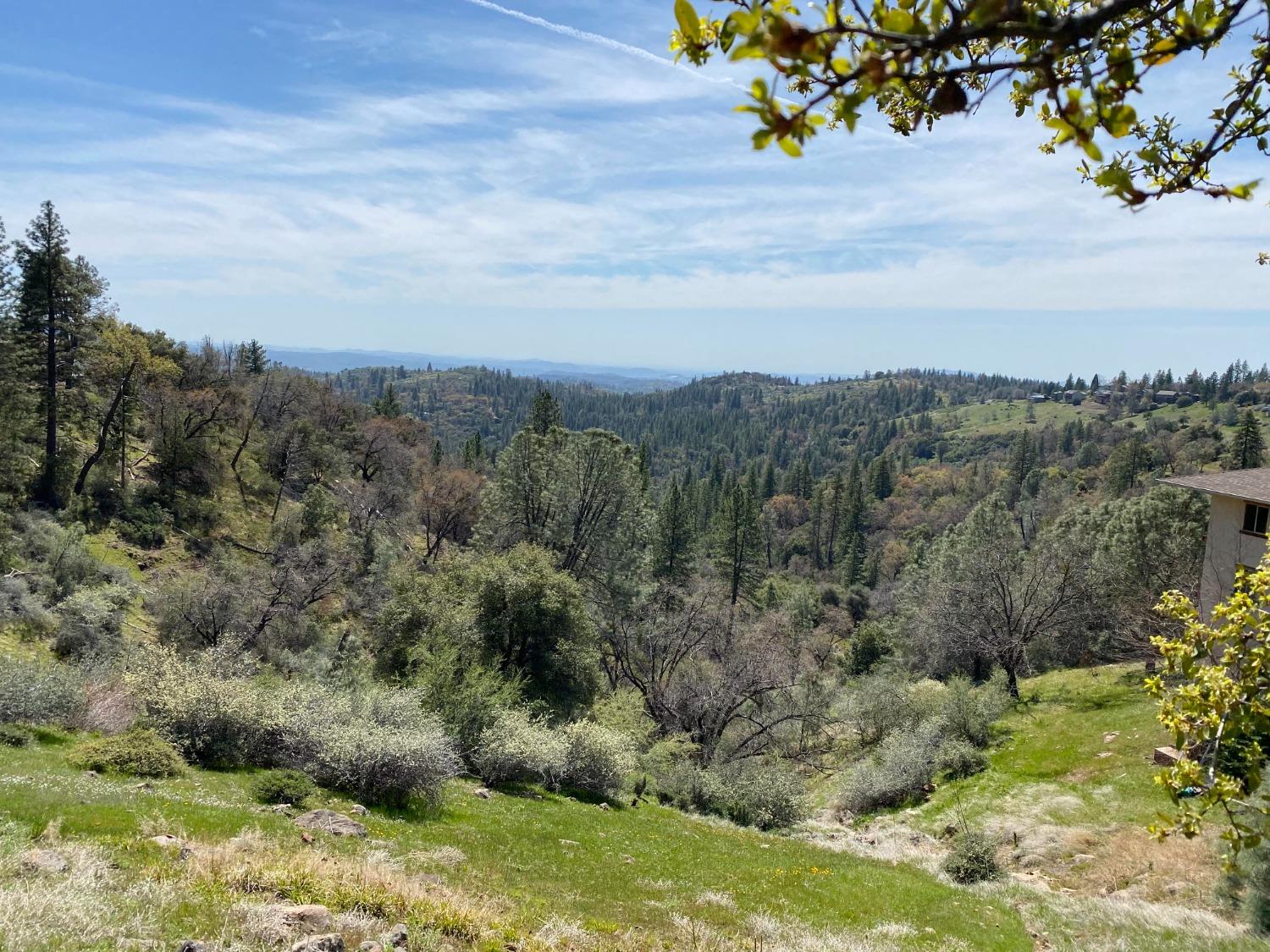 1144 Laurel Lane, Murphys, California 95247, ,Land,For Sale,Laurel,202300833