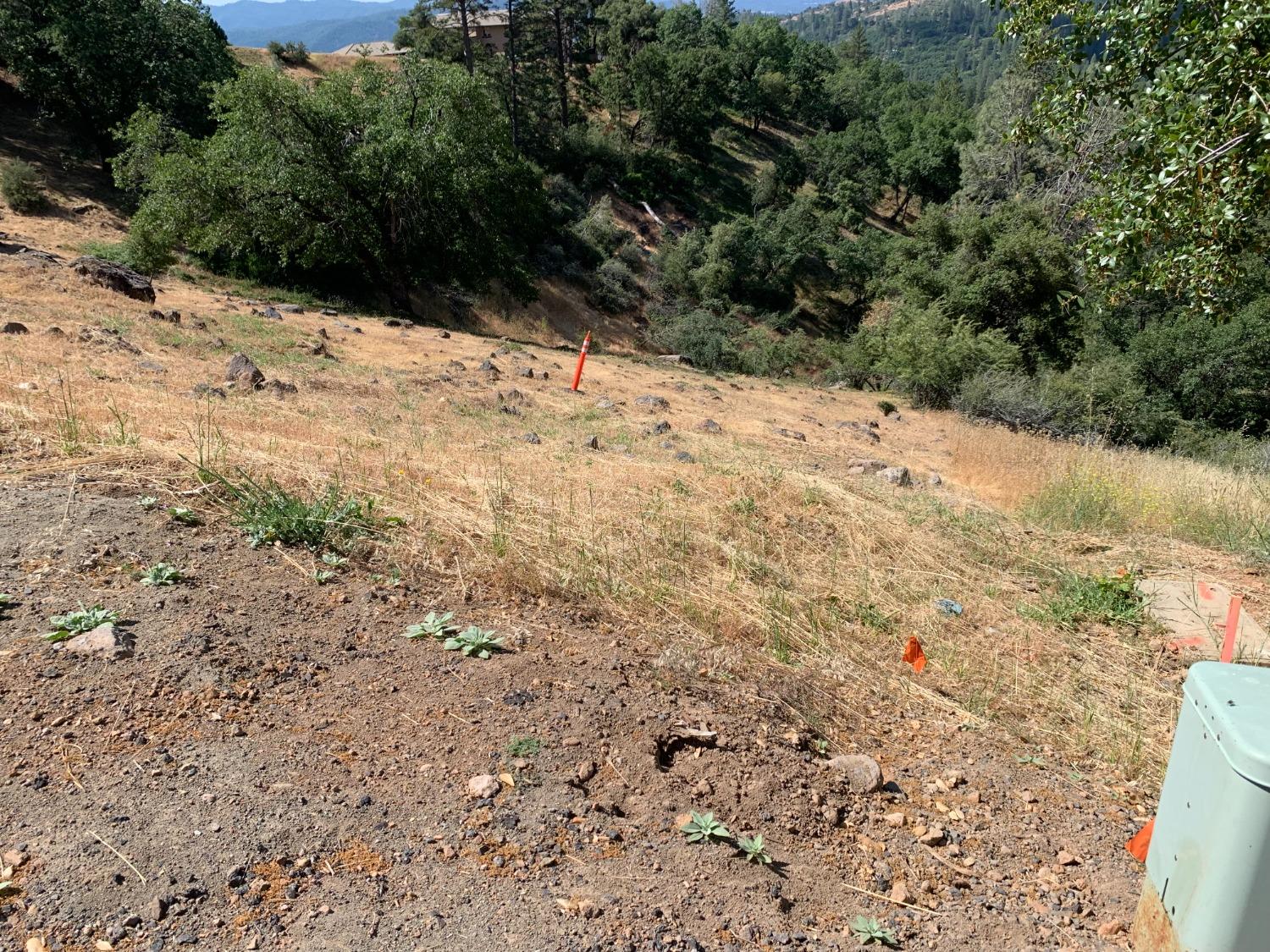 1144 Laurel Lane, Murphys, California 95247, ,Land,For Sale,Laurel,202300833