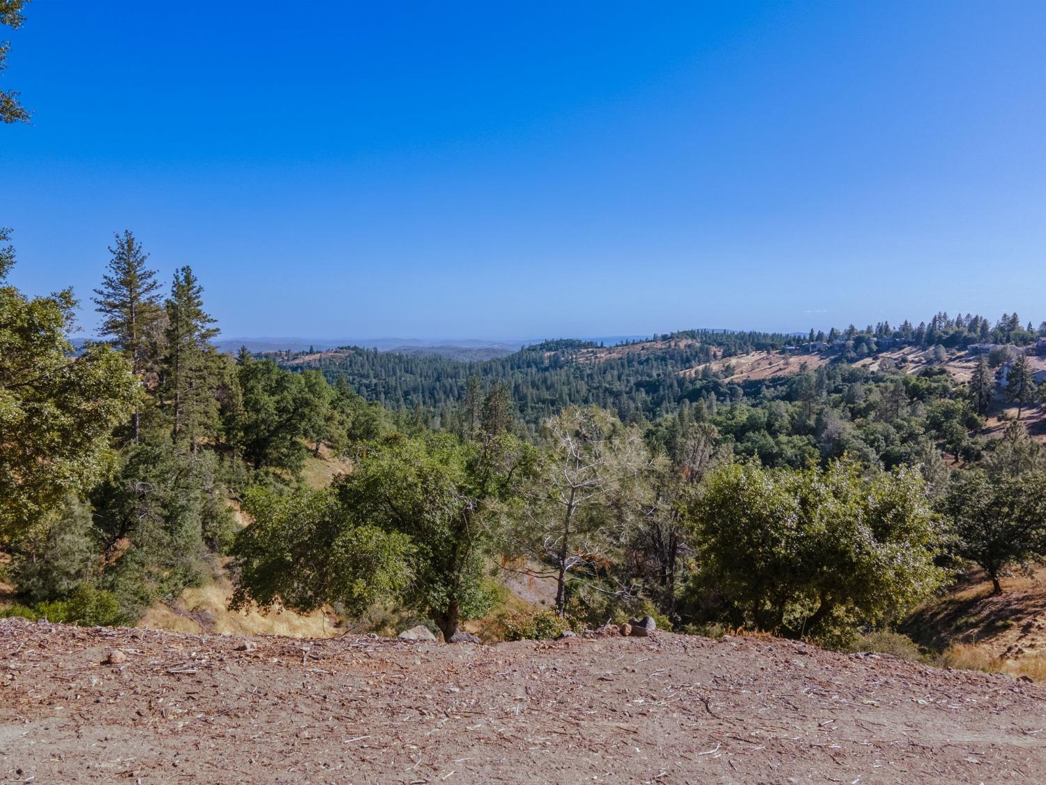 1144 Laurel Lane, Murphys, California 95247, ,Land,For Sale,Laurel,202300833