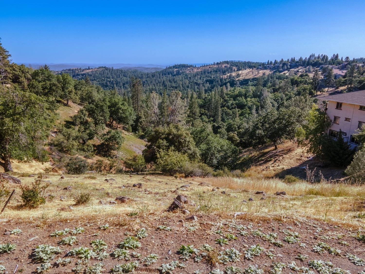 1144 Laurel Lane, Murphys, California 95247, ,Land,For Sale,Laurel,202300833