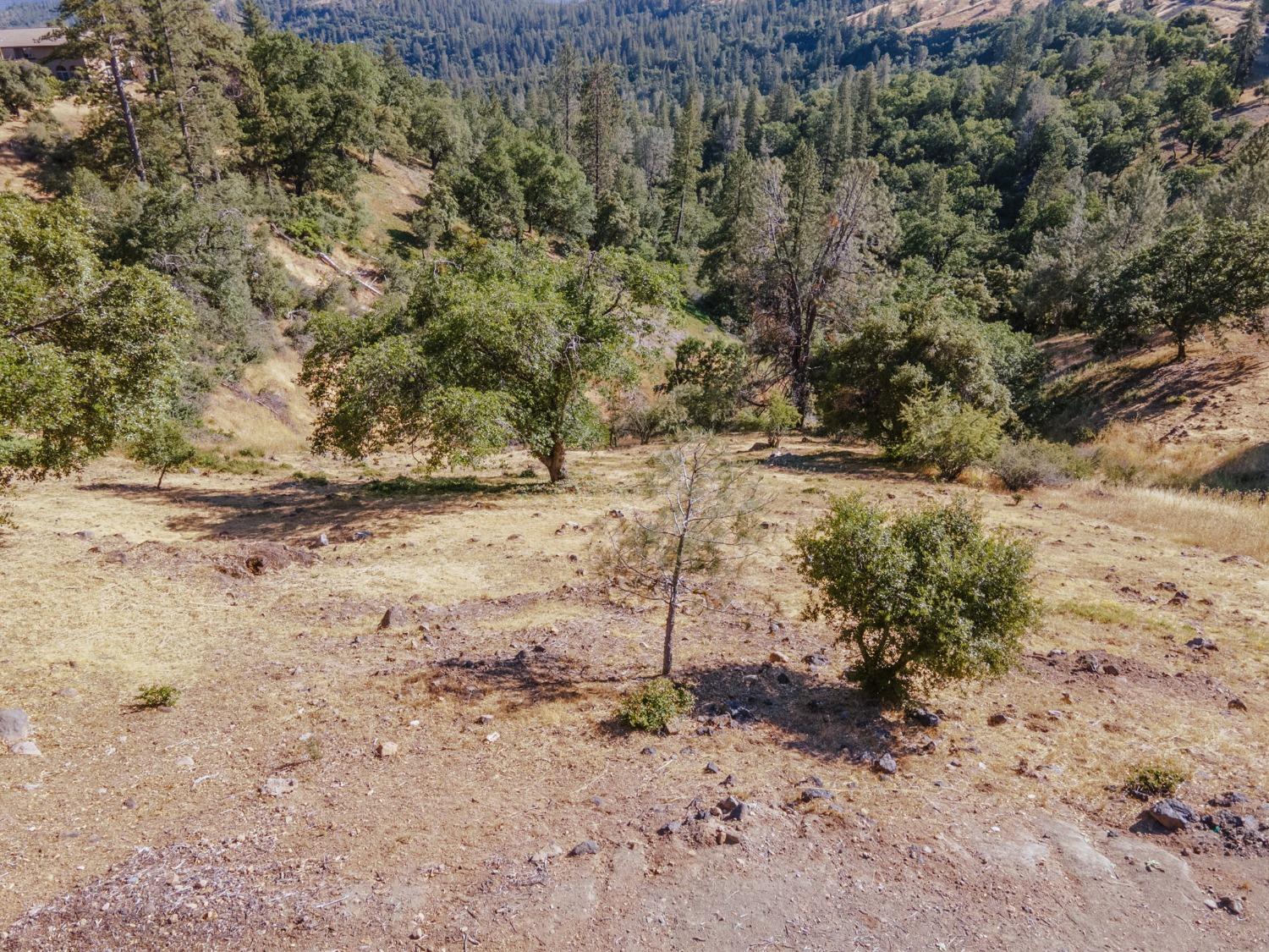 1144 Laurel Lane, Murphys, California 95247, ,Land,For Sale,Laurel,202300833