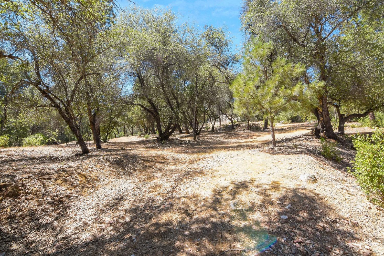 931 Pennsylvania Gulch Lot #20 Road, Murphys, California 95247, 3 Bedrooms Bedrooms, ,2 BathroomsBathrooms,Residential,For Sale,Pennsylvania Gulch Lot #20,202300836