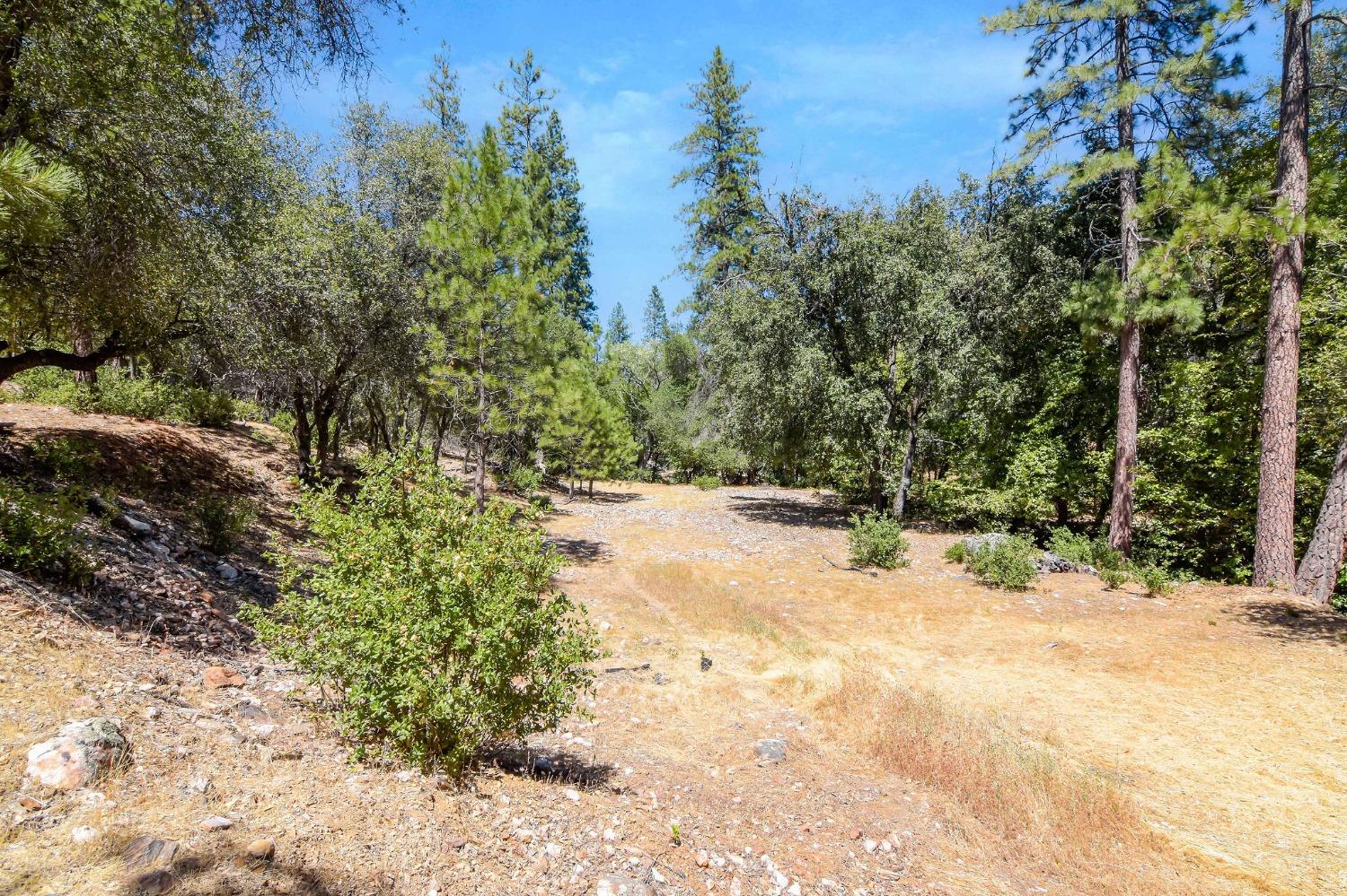 931 Pennsylvania Gulch Lot #20 Road, Murphys, California 95247, 3 Bedrooms Bedrooms, ,2 BathroomsBathrooms,Residential,For Sale,Pennsylvania Gulch Lot #20,202300836