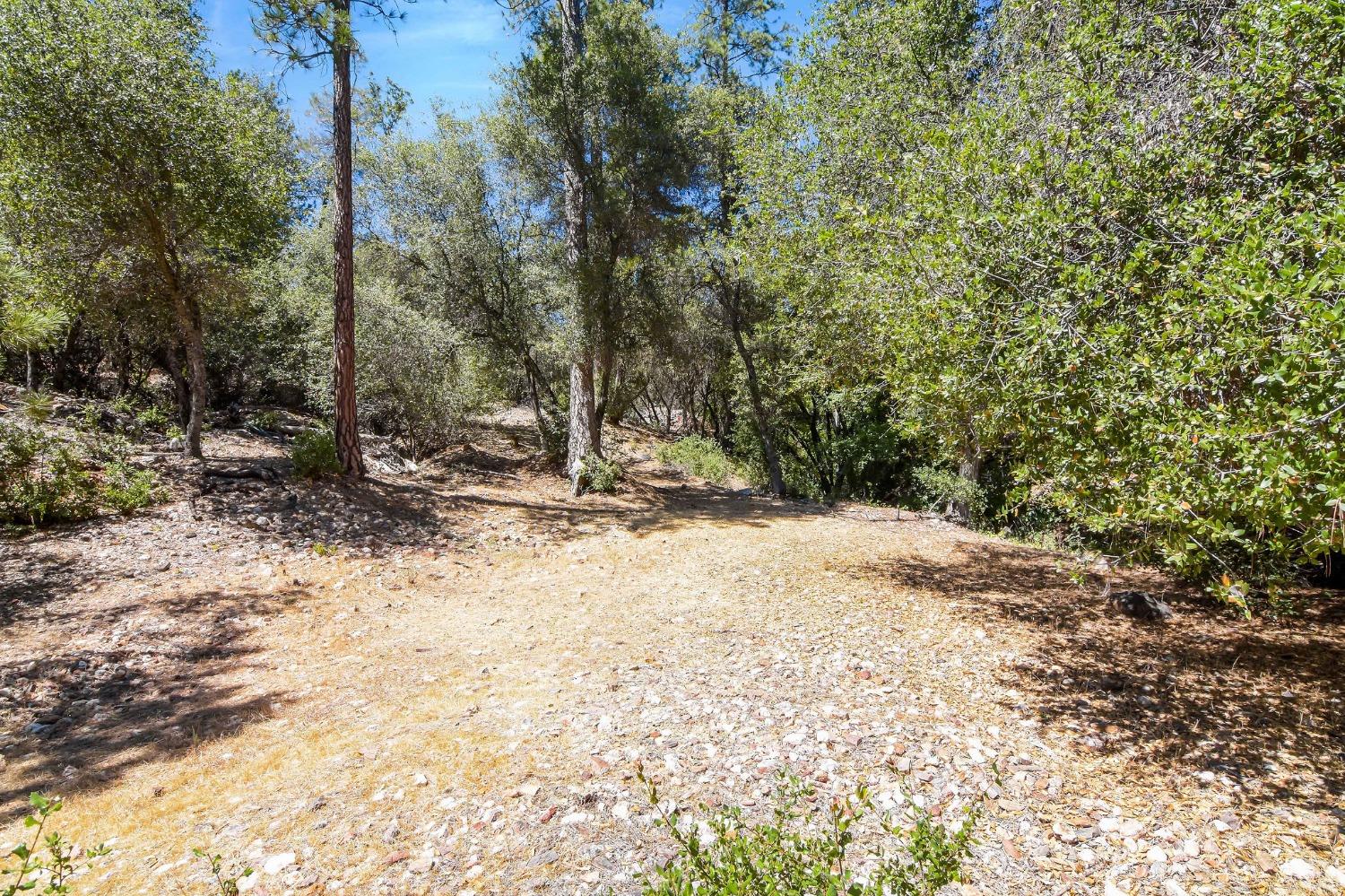 931 Pennsylvania Gulch Lot #20 Road, Murphys, California 95247, 3 Bedrooms Bedrooms, ,2 BathroomsBathrooms,Residential,For Sale,Pennsylvania Gulch Lot #20,202300836