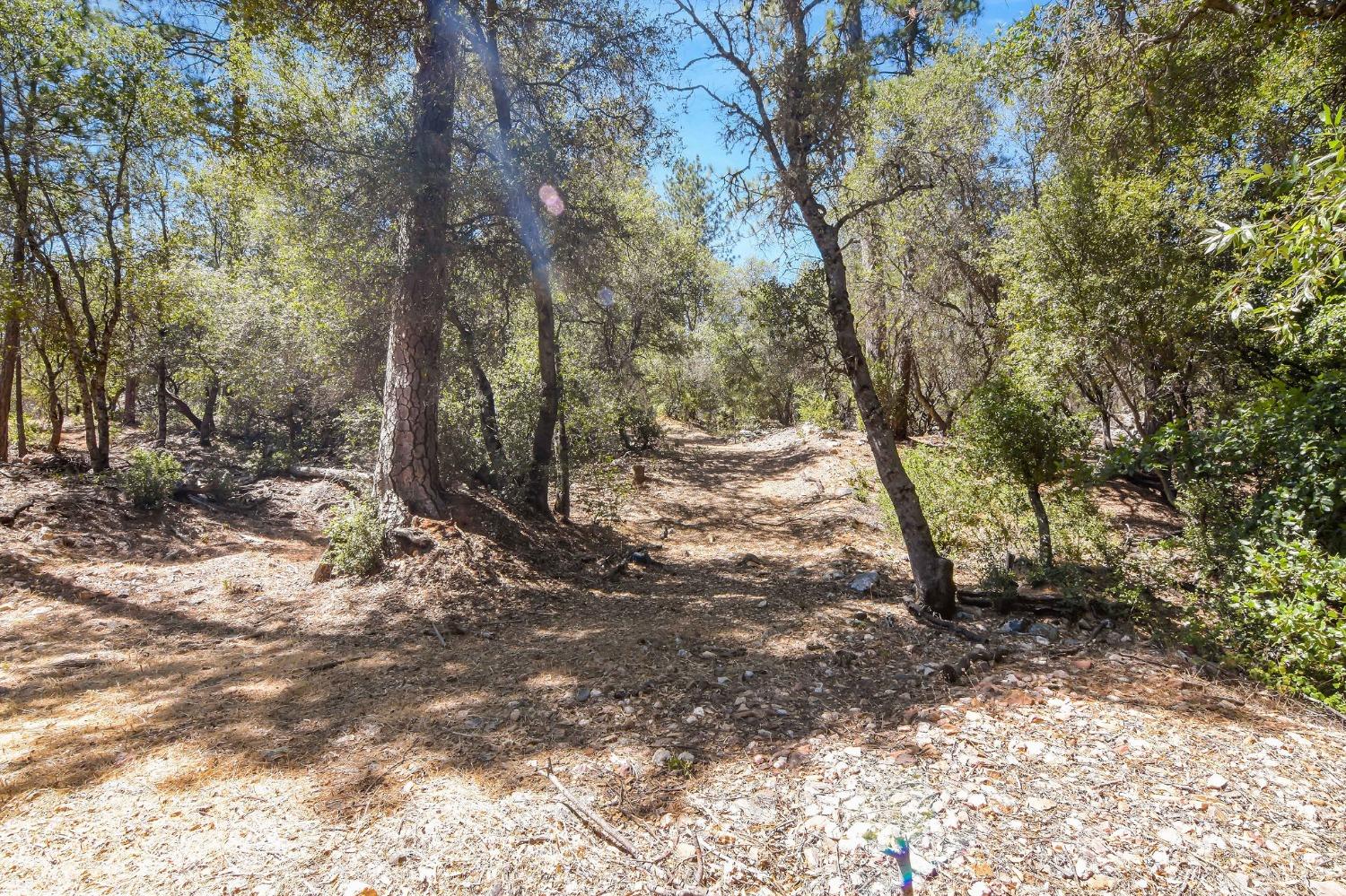 931 Pennsylvania Gulch Lot #20 Road, Murphys, California 95247, 3 Bedrooms Bedrooms, ,2 BathroomsBathrooms,Residential,For Sale,Pennsylvania Gulch Lot #20,202300836