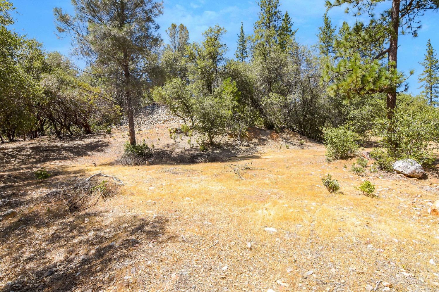 931 Pennsylvania Gulch Lot #20 Road, Murphys, California 95247, 3 Bedrooms Bedrooms, ,2 BathroomsBathrooms,Residential,For Sale,Pennsylvania Gulch Lot #20,202300836