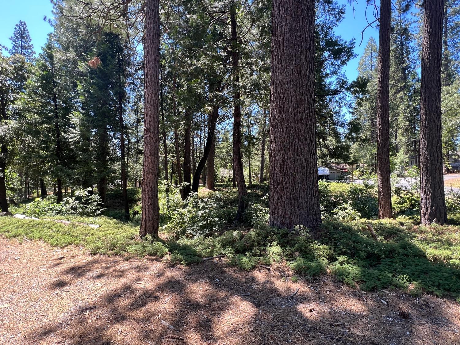 400 Blackbird Lane, Avery, California 95224, ,Land,For Sale,Blackbird,202300849