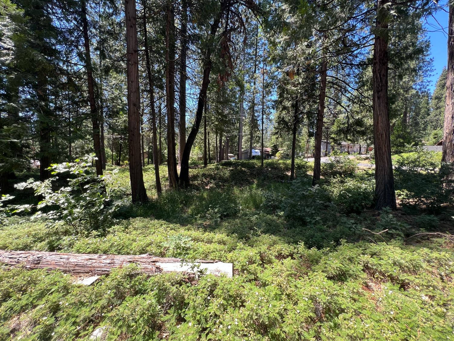 400 Blackbird Lane, Avery, California 95224, ,Land,For Sale,Blackbird,202300849