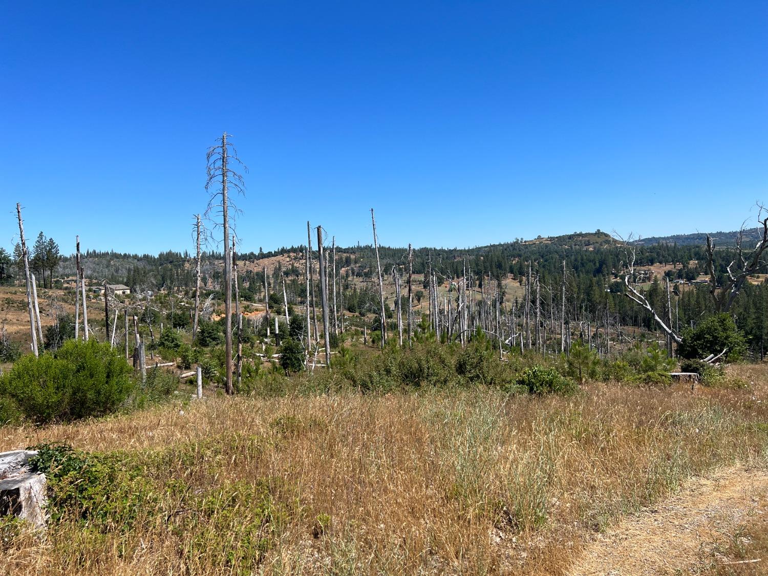 5856 eagle view, Mountain Ranch, California 95246, ,Land,For Sale,eagle view,202300859