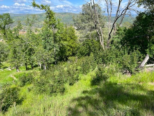 3199 Bow Drive, Copperopolis, California 95228, ,Land,For Sale,Bow,202300868