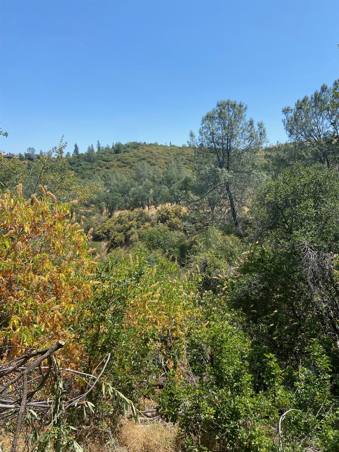 2538 Butte Mountain Road, Murphys, California 95247, ,Land,For Sale,Butte Mountain,202300860