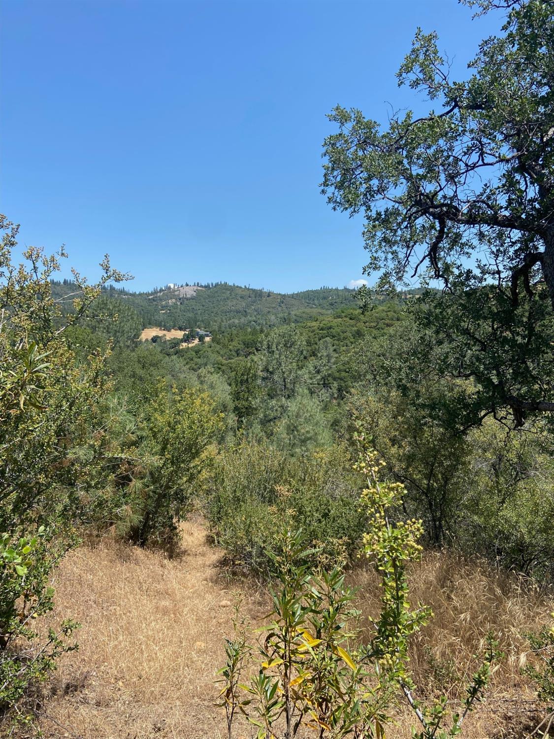 2538 Butte Mountain Road, Murphys, California 95247, ,Land,For Sale,Butte Mountain,202300860