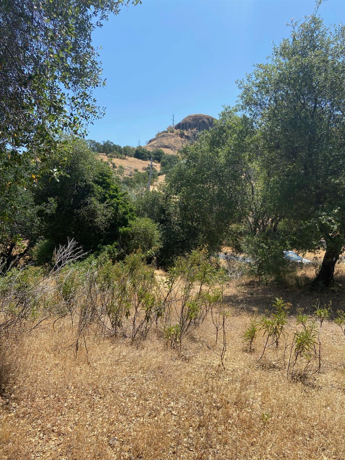 2538 Butte Mountain Road, Murphys, California 95247, ,Land,For Sale,Butte Mountain,202300860