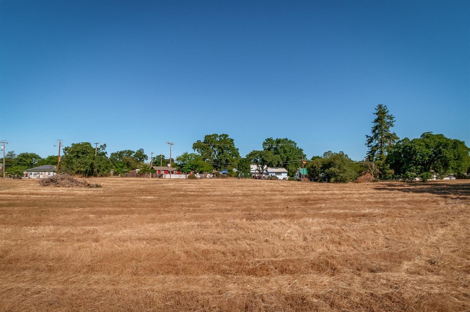 0 Dogtown Road, Angels Camp, California 95222, ,Land,For Sale,Dogtown Road,202300877