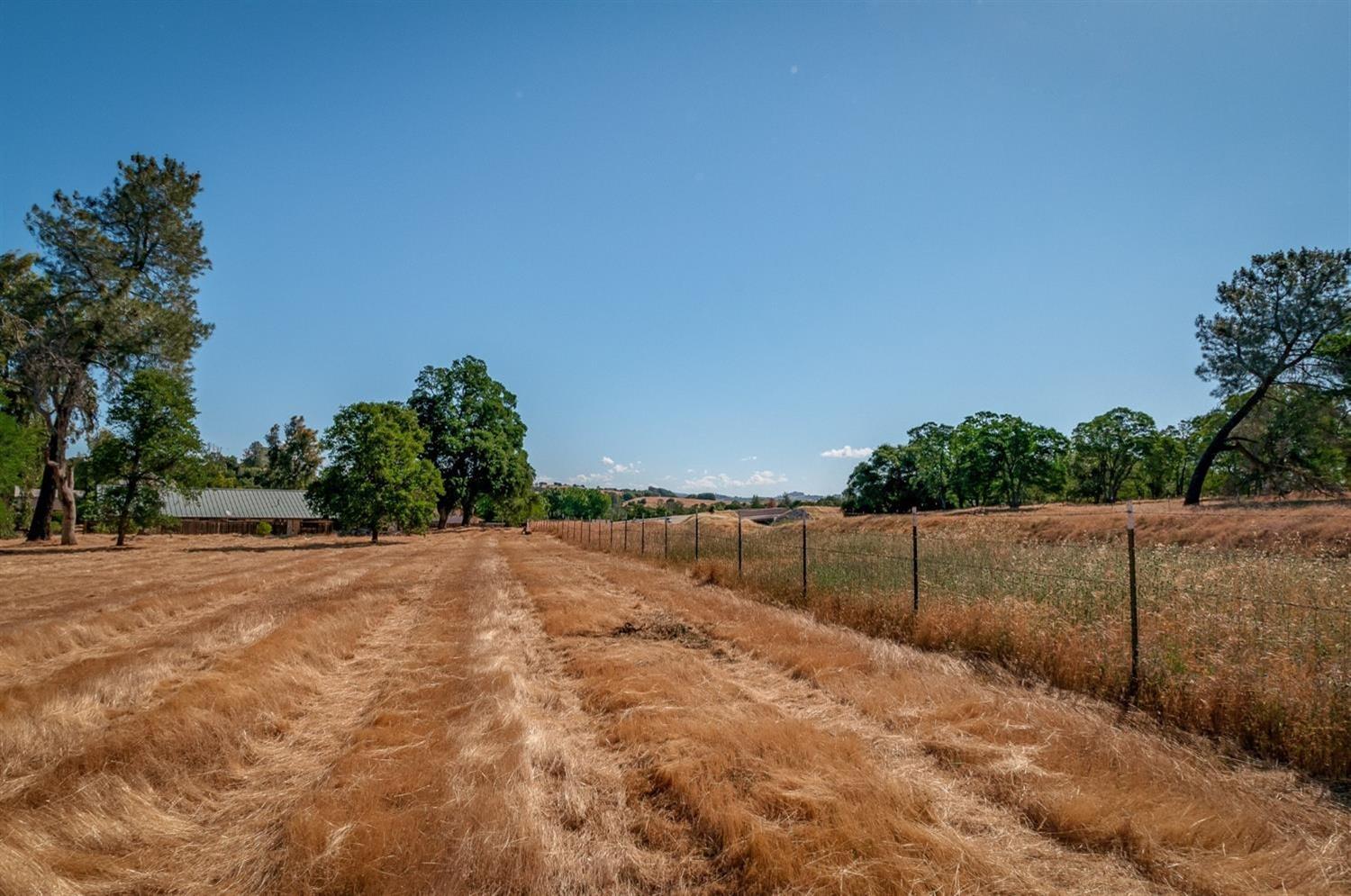 0 Dogtown Road, Angels Camp, California 95222, ,Land,For Sale,Dogtown Road,202300877