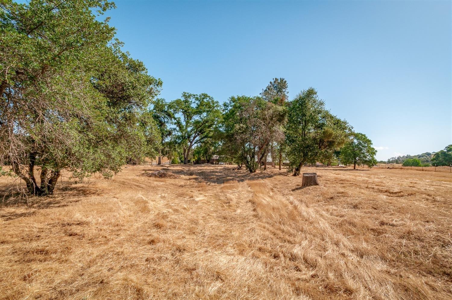 0 Dogtown Road, Angels Camp, California 95222, ,Land,For Sale,Dogtown Road,202300877