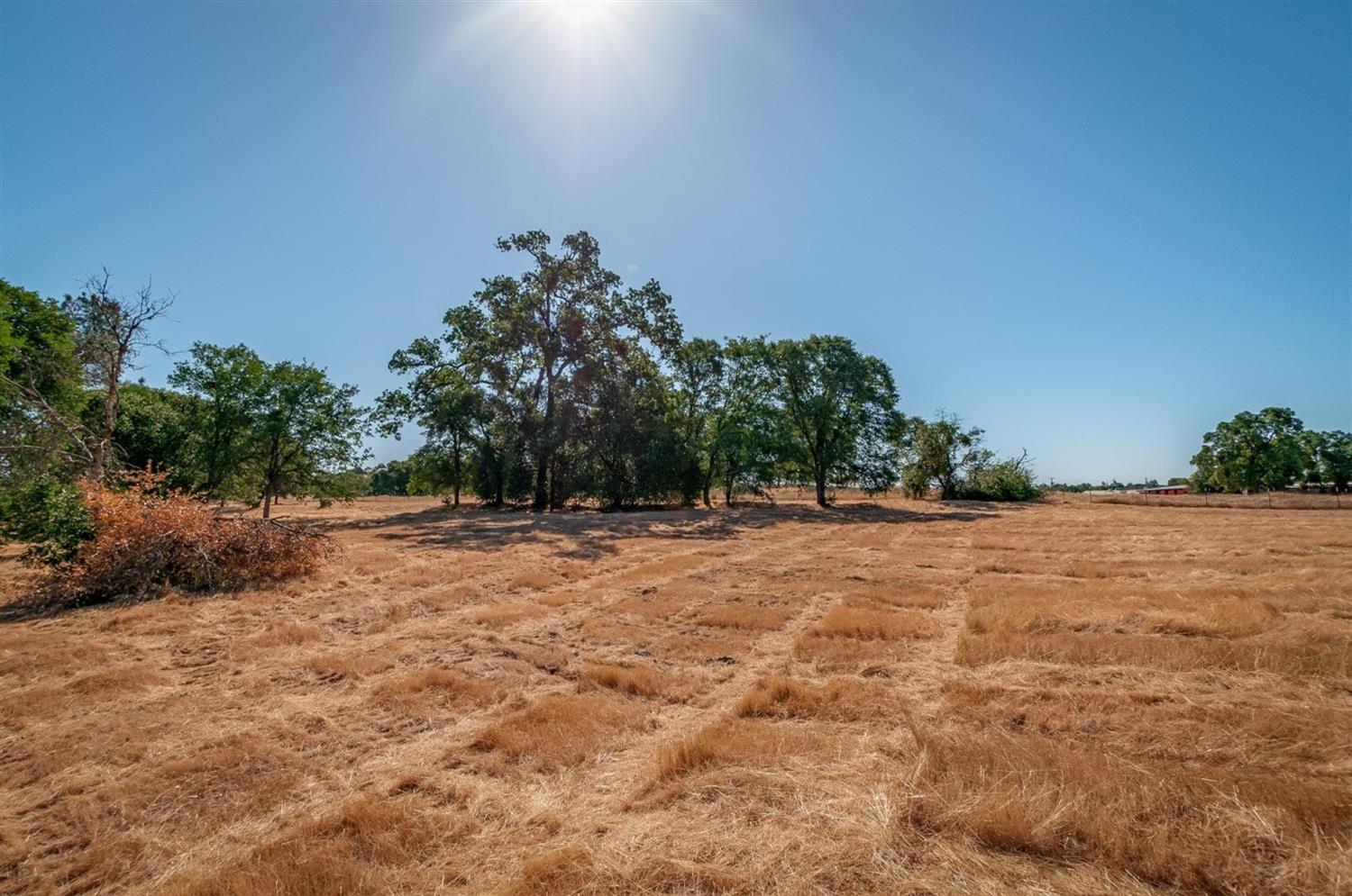 0 Dogtown Road, Angels Camp, California 95222, ,Land,For Sale,Dogtown Road,202300877